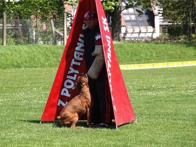 www.atibox.net * www.euroboxer.eu * www.boxergenealogia.eu